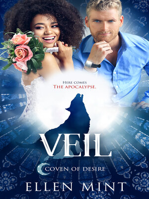 cover image of Veil